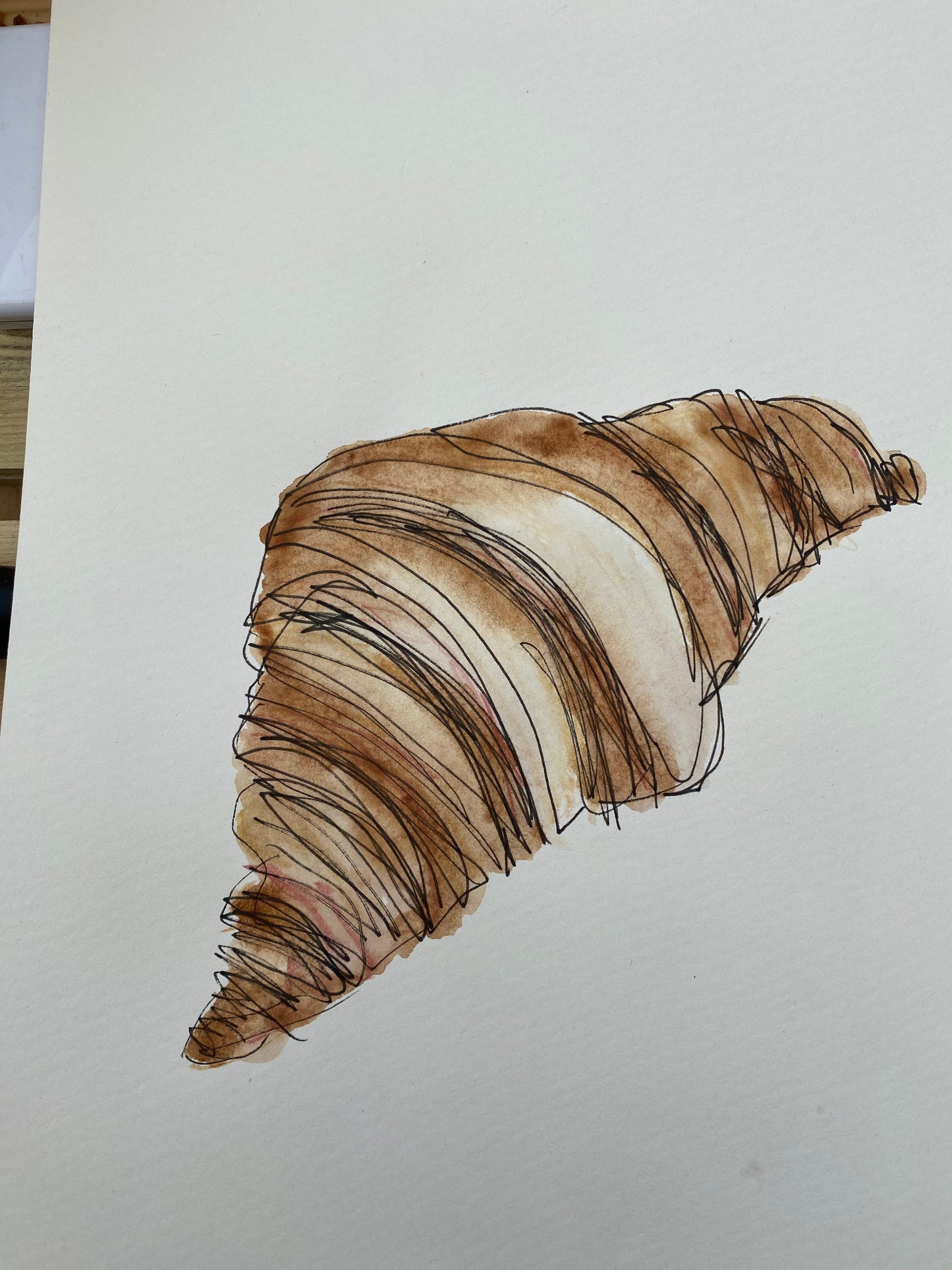 Croissant Croquis